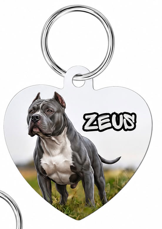  Personalized pet photo keychain with dog name – heart-shaped design