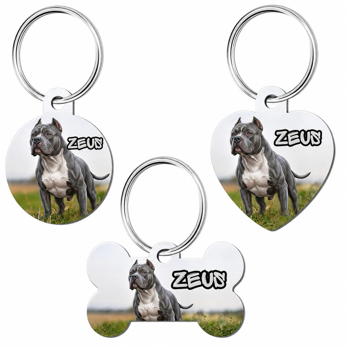  Personalized pet photo keychains in round, heart and bone shapes