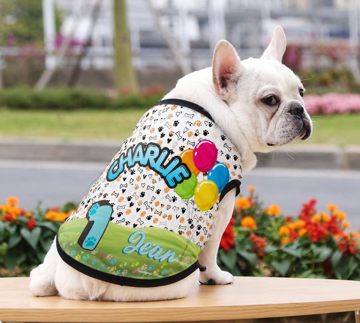     French Bulldog wearing personalized dog T-shirt with custom pet photo and name