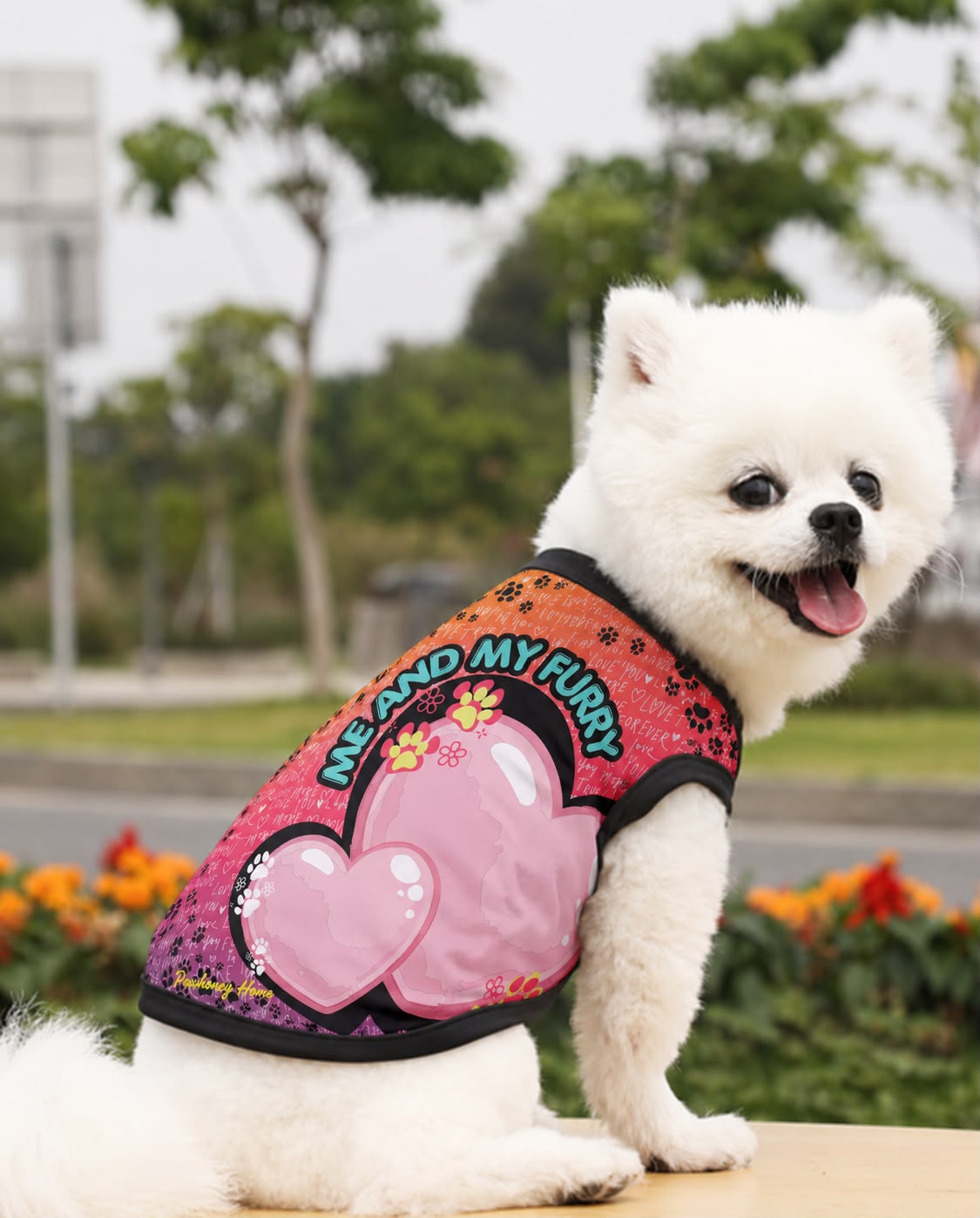     Small dog wearing personalized pet T-shirt with colorful custom photo design
