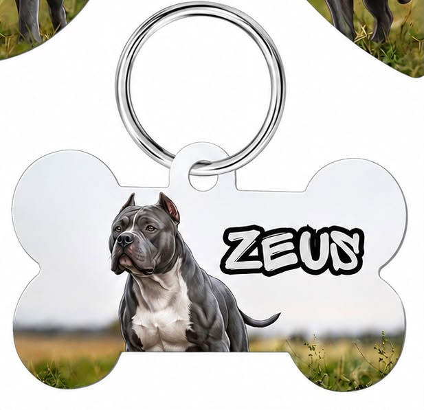Personalized dog photo keychain with custom name – bone-shaped design