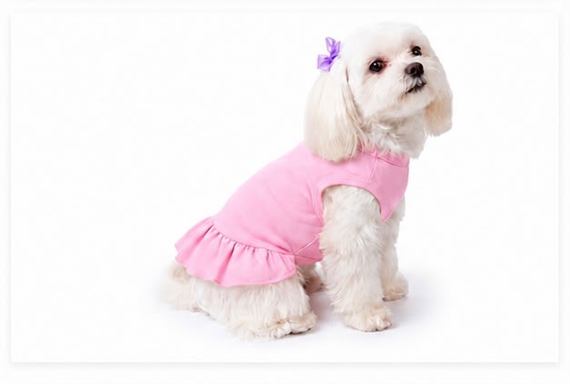     Small dog wearing pink custom dog dress with ruffle skirt